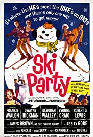 Watch Free Ski Party (1965)