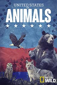 Watch Free United States of Animals (2016-)