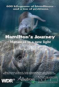 Watch Free Hamiltons Journey Manatees in a New Light (2014)