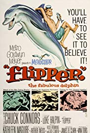 Watch Free Flipper (1963)